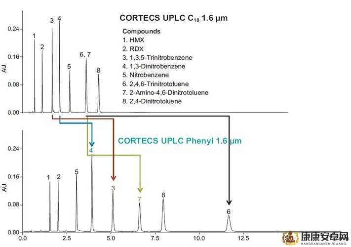 Waters 色谱柱 C18：在分析化学中的重要应用与优势探讨